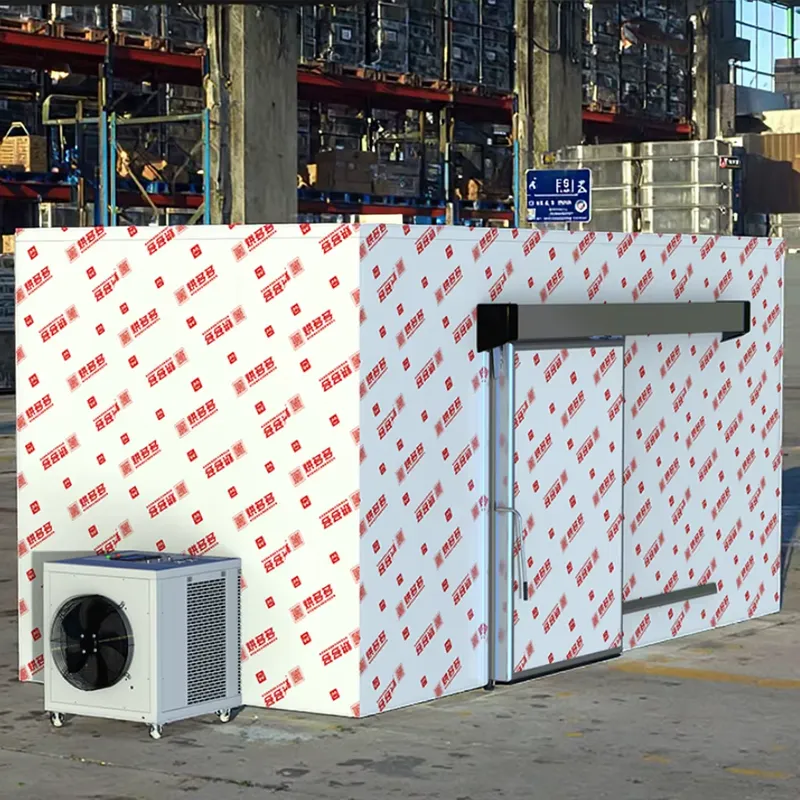 Profesjonalna, komercyjna susz – Commercial Kitchen recenzja i cena